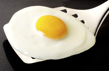 EGG & SPATULA