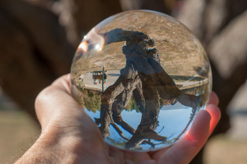 A glass ball of nature