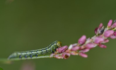 spuren