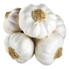 BUNCH OF GARLIC ON WHITE