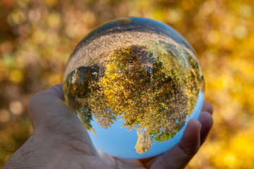 A glass ball of nature