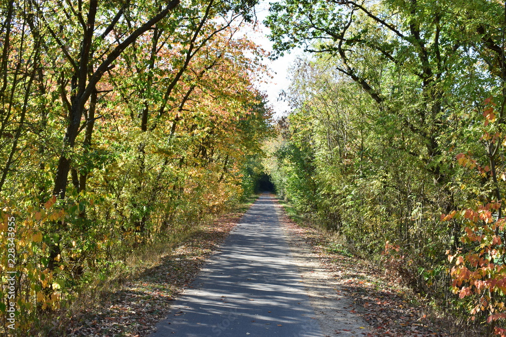 Sticker herbstlicher weg