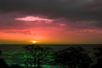 Fototapeta na wymiar sunset back over the sea silhouette branch tree