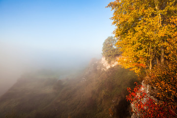 Colorful autumn scenery