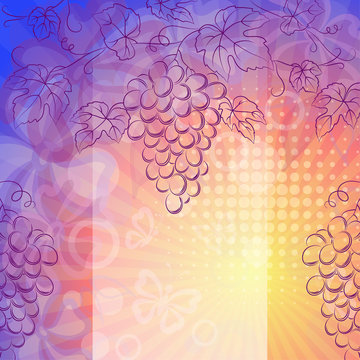 Grape Bunches and Leaves Purple Contours on Abstract Background with Rays, Circles and Butterflies. Vector