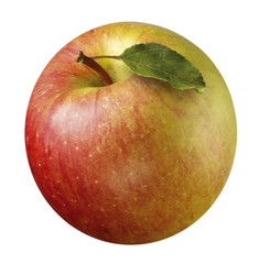 APPLE ON WHITE