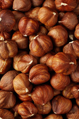 HAZELNUTS WHOLE