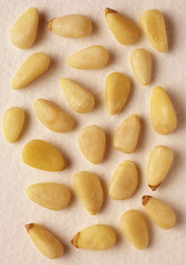 PINE KERNELS ON WHITE