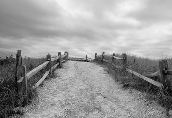 Sandy beach path walkway leading to beach access. Black and white landscape.  - 228345927