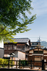 Old houses and and ginko tree summer of Hida Furukawa old town, Gifu. Japan