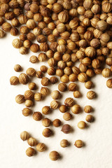 CORIANDER / CILANTRO SEEDS