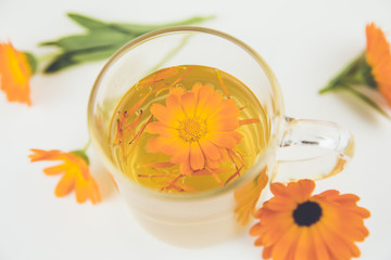  Calendula officinalis the pot marigold, ruddles, common marigold or Scotch marigold,  plant flower teacup in clear glass, medical remedy concept. Isolated on white.