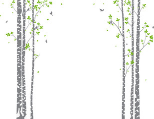 Beautiful tree branch with birds silhouette background for wallpaper sticker