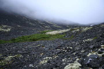 Fog on mountain pass