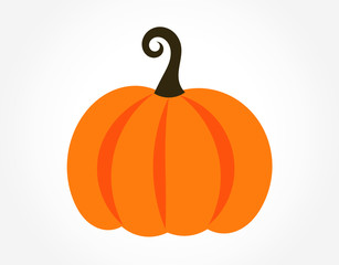 Autumn pumpkin icon isolated.