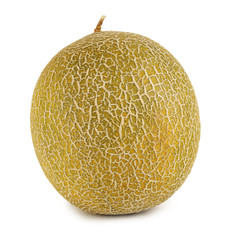 GALIA MELON