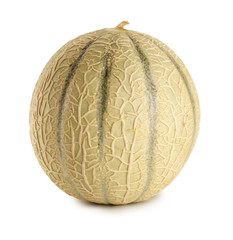 Obraz premium CANTALOUPE MELON