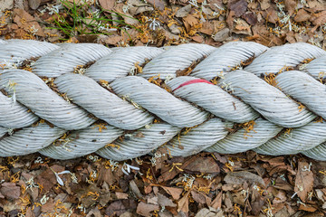 Close up of twisted rope background
