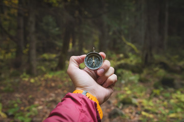 A beautiful male hand with a yellow watch strap holds a magnetic compass in the coniferous autumn...