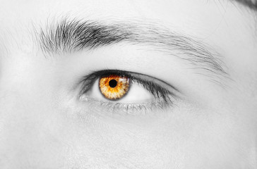 A beautiful insightful look man's eye. Close up shot.