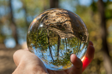 A glass ball of nature