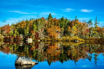 autumn landscape with lake and trees