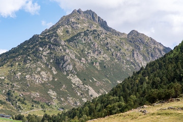 Fototapeta na wymiar Summer in the Incles Valley, Andorra. Vall d´Incles, Andorra