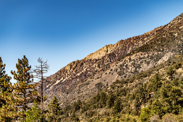 Aerial view of Forest Falls and Oak Creek in the San bernardino Mountains and National Forest with blue sky, green and yellow trees and plants