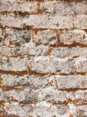 White brick wall texture sorrounded by red brick colloring