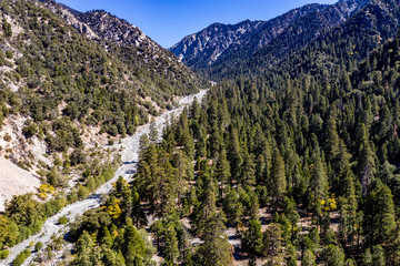 Aerial view of Forest Falls and Oak Creek in the San bernardino Mountains and National Forest with blue sky, green and yellow trees and plants