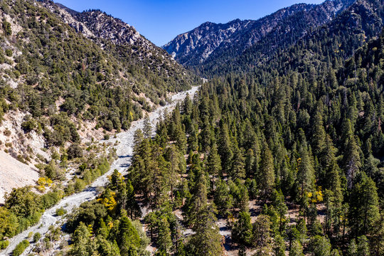 Aerial view of Forest Falls and Oak Creek in the San bernardino Mountains and National Forest with blue sky, green and yellow trees and plants