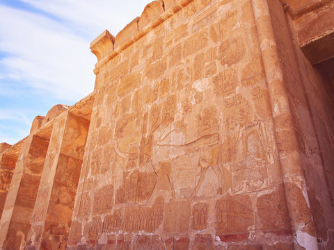 Queen Hatshepsut’s Temple in Egypt.   Fragment of one of the temple walls with ancient Egyptian symbols