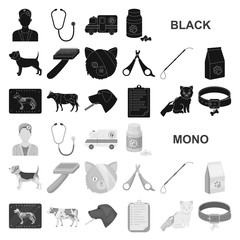 Veterinary clinic black icons in set collection for design. Treatment of a pet vector symbol stock web illustration.