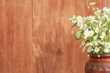 White flower in vase on wooden background