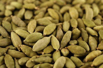 CARDAMOM PODS