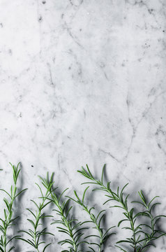 Rosemary row on marble background