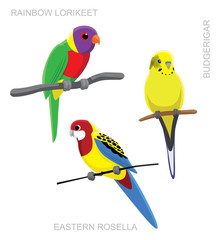 Parrot Australian Colorful Cartoon Vector Illustration