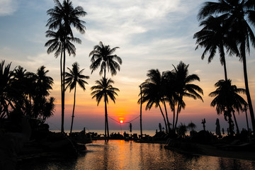 Naklejka premium Piękna tropikalna plaża z palmami sylwetki o zmierzchu.