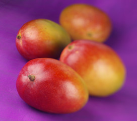 FRESH WHOLE MANGO