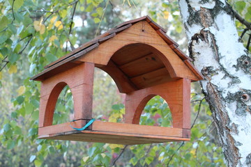 birdhouse on tree