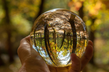 A glass ball of nature
