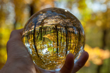 A glass ball of nature