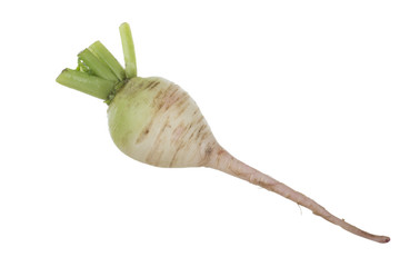 fresh daicon isolated on white background