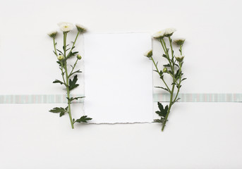 Paper frame with flower on white texture background. Greeting card.
