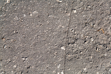 Autumn background. Dry orange foliage lying on asphalt. Fallen oak leaves on road. Orange and yellow autumn fallen leaves on wet asphalt path, road backgound