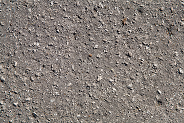 Autumn background. Dry orange foliage lying on asphalt. Fallen oak leaves on road. Orange and yellow autumn fallen leaves on wet asphalt path, road backgound
