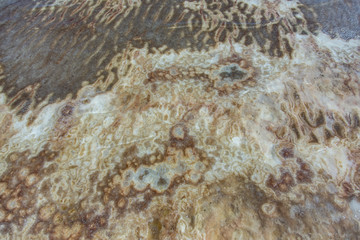 pieces of sea salt on the beach