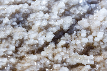 pieces of sea salt on the beach