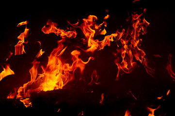 Flame of fire on a black background