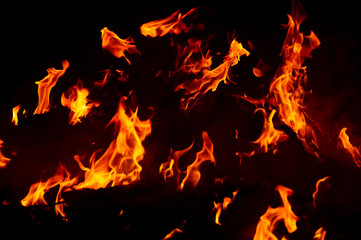 Flame of fire on a black background